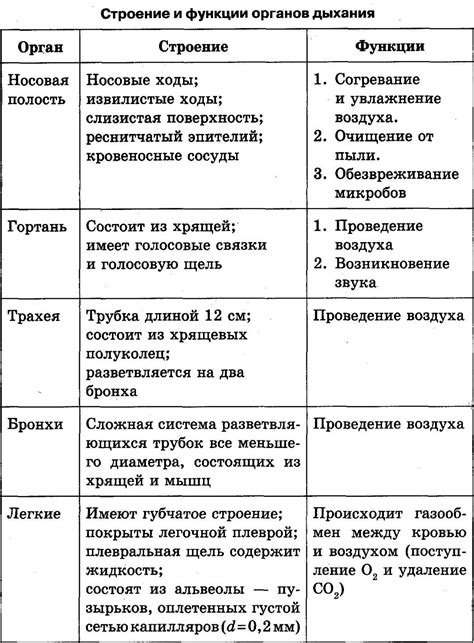 Советы по поддержанию дыхательной функции в игре