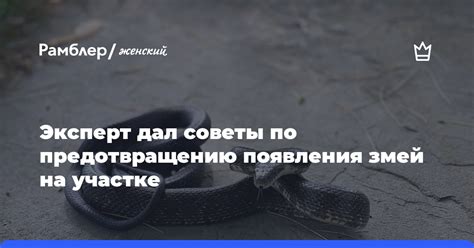 Советы по предотвращению появления йща