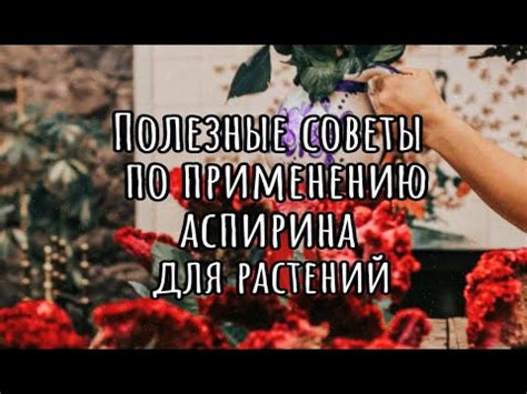 Советы по применению аспирина