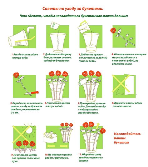 Советы по уходу за цветами