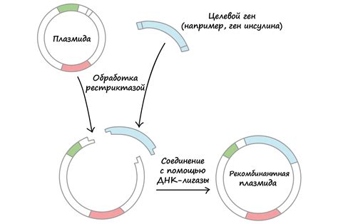 Создание ДНК передатчика