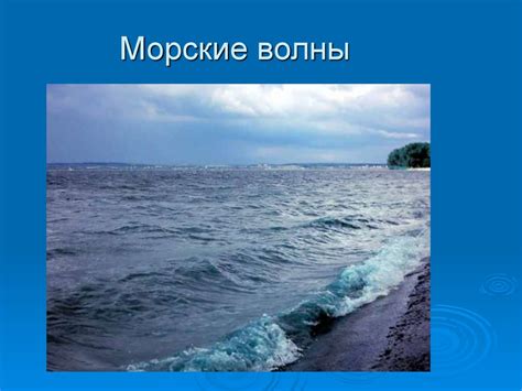 Соленость морской воды