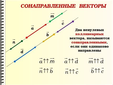 Сонаправленные векторы: особенности и примеры