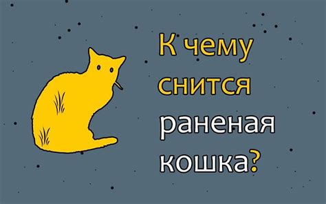 Сон о кошке