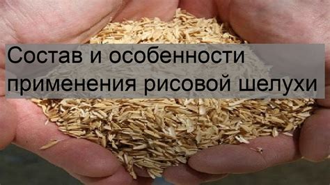 Состав и особенности применения