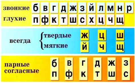 Состав клопсов 4 буквы: краткий обзор