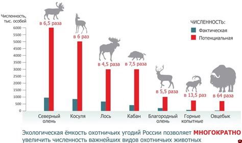 Состояние популяции видов в современной России