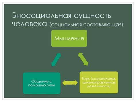 Социальная составляющая визита