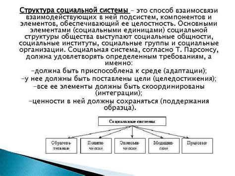 Социальные взаимосвязи и структура