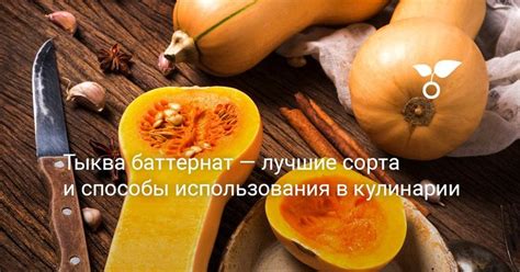 Способы использования в кулинарии