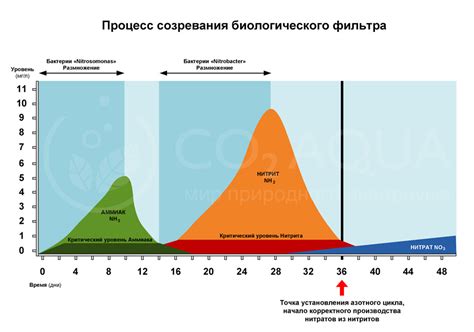 Способы контроля азотного баланса