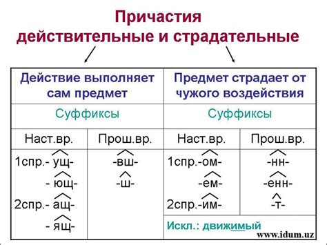 Способы образования страдательных причастий от переходных глаголов