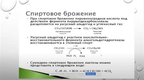 Способы стимуляции процесса брожения