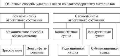 Способы удаления влаги: тщательный анализ