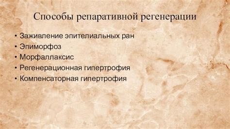 Способы улучшения регенерации