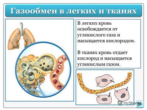 Способы улучшения снабжения кислородом в тканях