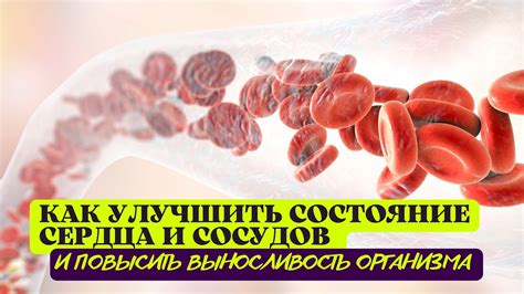 Способы улучшить состояние сосудов