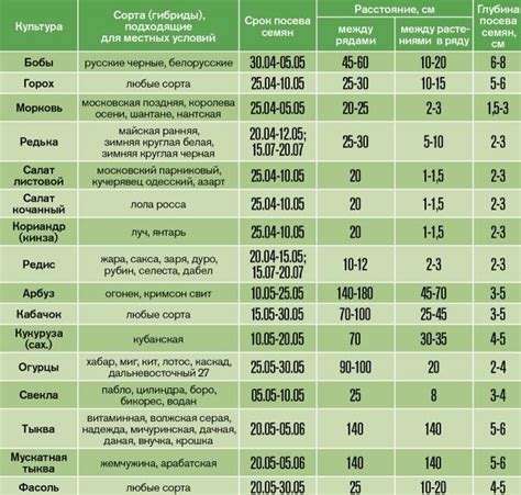 Сроки сбора и хранения урожая овощей, посаженных в июле