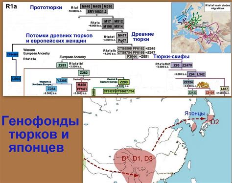 Старостин и его наследие