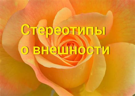 Стереотипы о внешности и личности