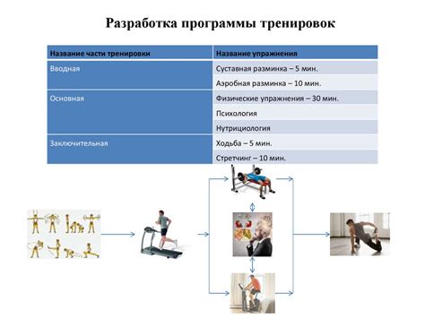 Стратегии коррекции питания и тренировок