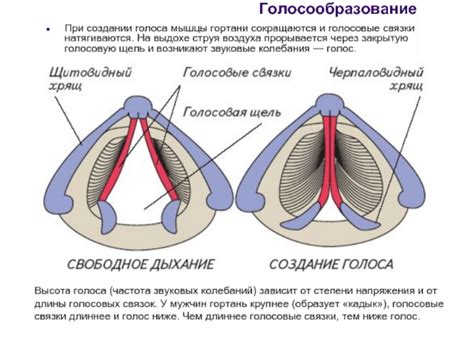 Стресс и перенапряжение голосовых связок