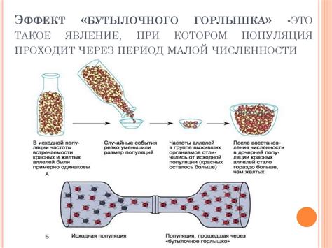 Структура бутылочного питания