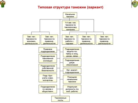 Структура колонии вольвоксов