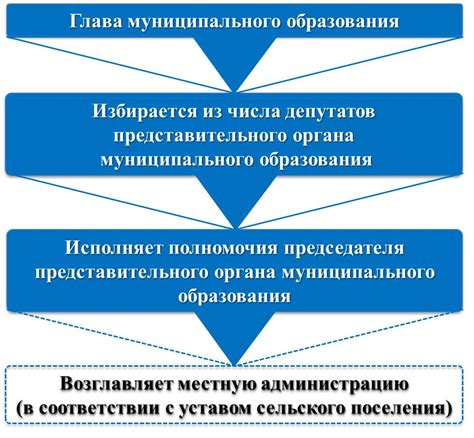 Структура местного самоуправления