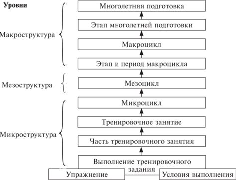 Структура тренировки