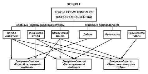 Структура холдинга и его функциональные подразделения