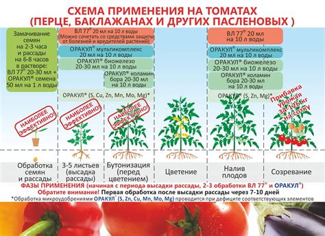 Схема подкормки и частота удобрения