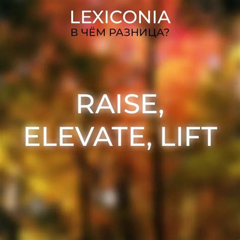 Сходства raise и lift