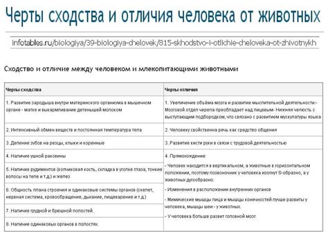 Сходство и различия с зарубежными колледжами