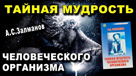 Тайная мудрость снов