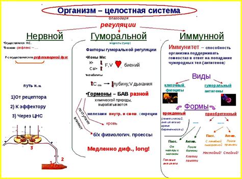 Тепловая регуляция организма