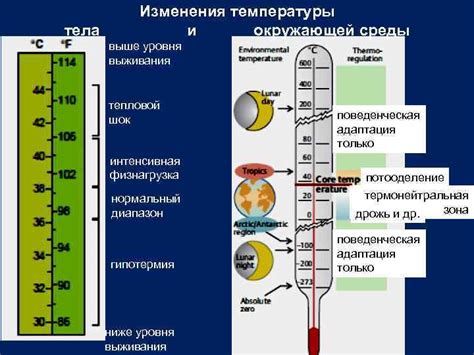 Тепловой шок и перепады температуры