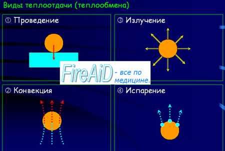 Теплоотдача через испарение пота