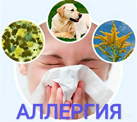 Теплый пар и аллергии: взаимосвязь и эффективность увлажнения