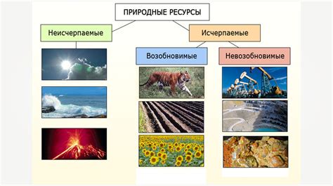 Территория и природные ресурсы