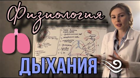 Техника издыхания и вдоха