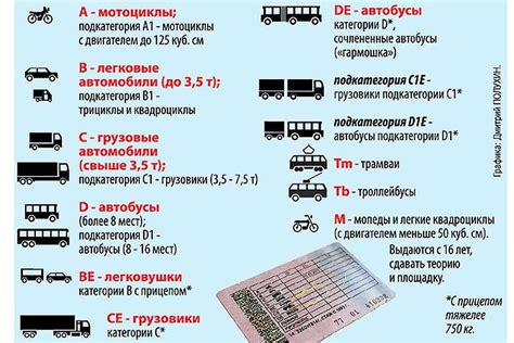 Требования к зрению при получении водительских прав