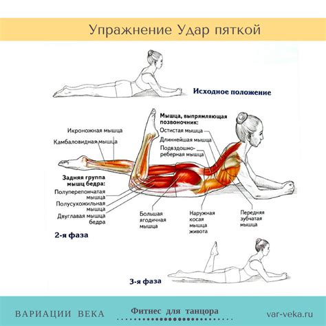 Тренировка мышц спины и ног