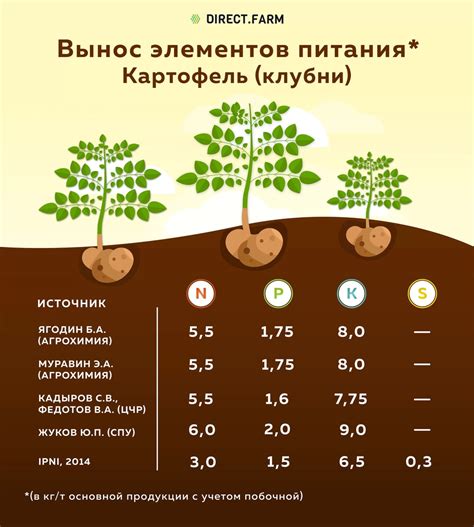 Увеличение урожайности картофеля