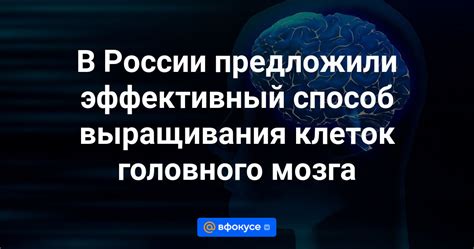 Угрозы для клеток головного мозга