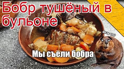 Удивительные рецепты бобра