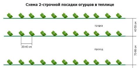 Удлинение возможного времени выращивания