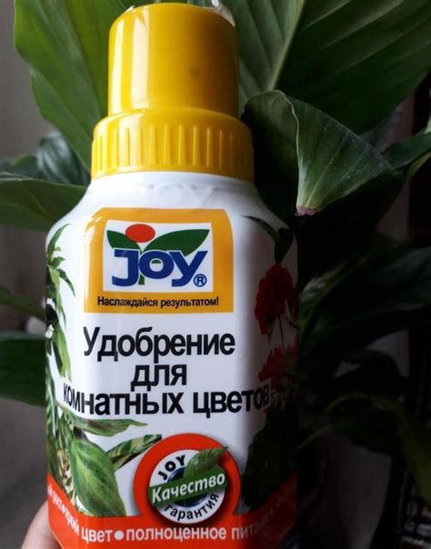 Удобрение для зигокактуса