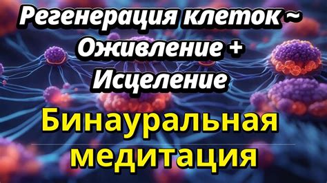 Укрепление иммунной системы благодаря солнечному свету