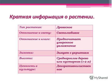 Умеренное увлажнение после посадки